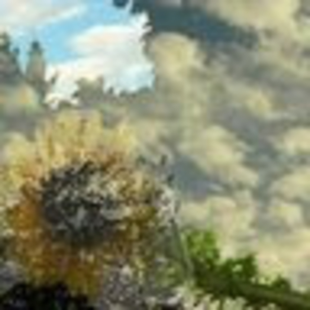 Meet your Posher, Daisy